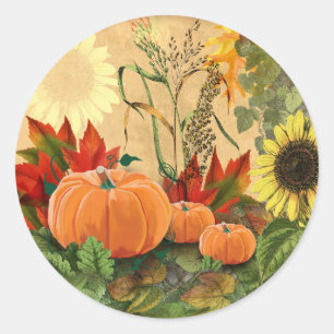 Pumpkin Fall Harvest Classic Round Sticker