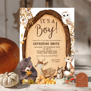 Pumpkin Fall Woodland Animal Baby Shower  Invitati Invitation