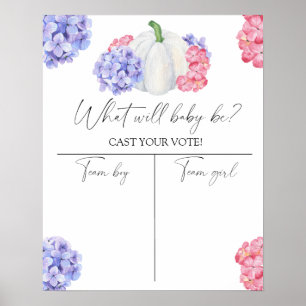 Pumpkin Gender reveal Boy or Girl chart