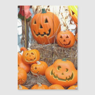 Pumpkin halloween jack o lantern orange pumpkins