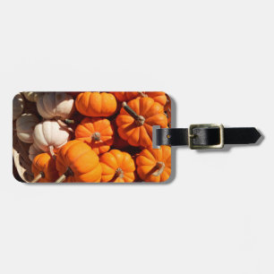 Pumpkin halloween jack o lantern orange pumpkins luggage tag
