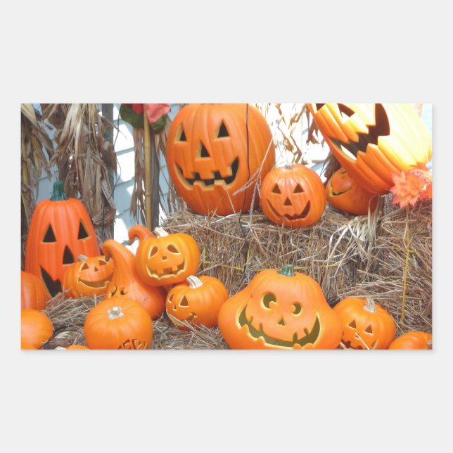 Pumpkin halloween jack o lantern orange pumpkins rectangular sticker (Front)