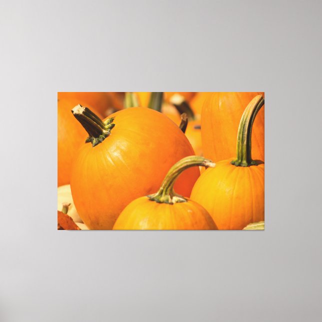 PUMPKIN HARVEST 60 X 40 WRAPPED CANVAS (Front)