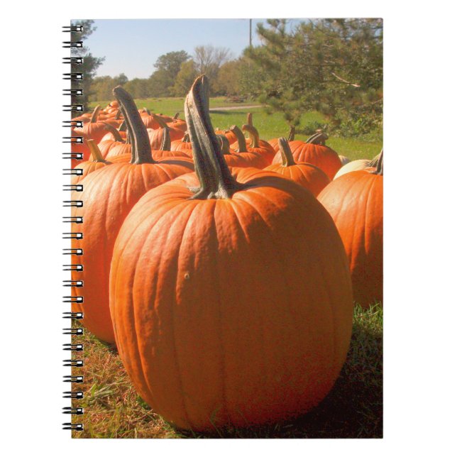 Pumpkin Harvest Notebook (Front)