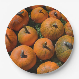 Pumpkin Harvest Paper Plate