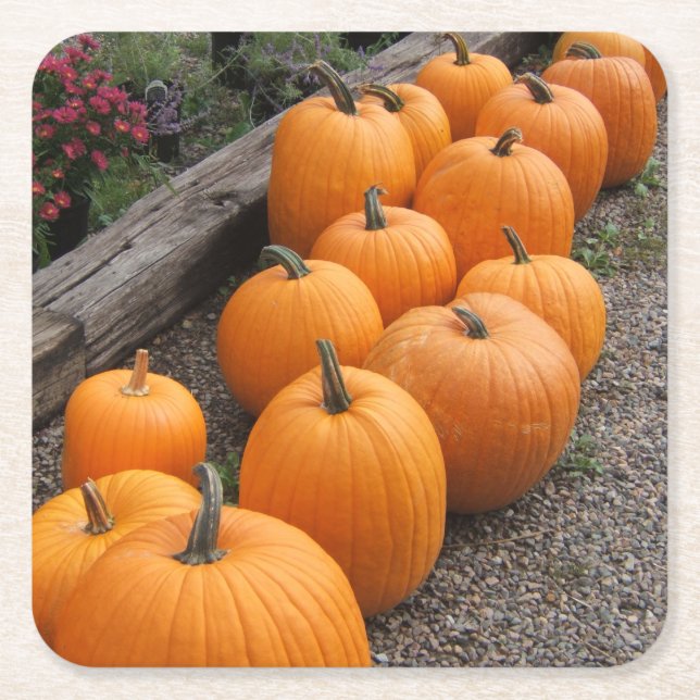 Pumpkin Harvest Seasonal Square Paper Coaster (Front)
