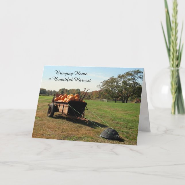 Pumpkin Harvest - Thanksgiving Card (Front)