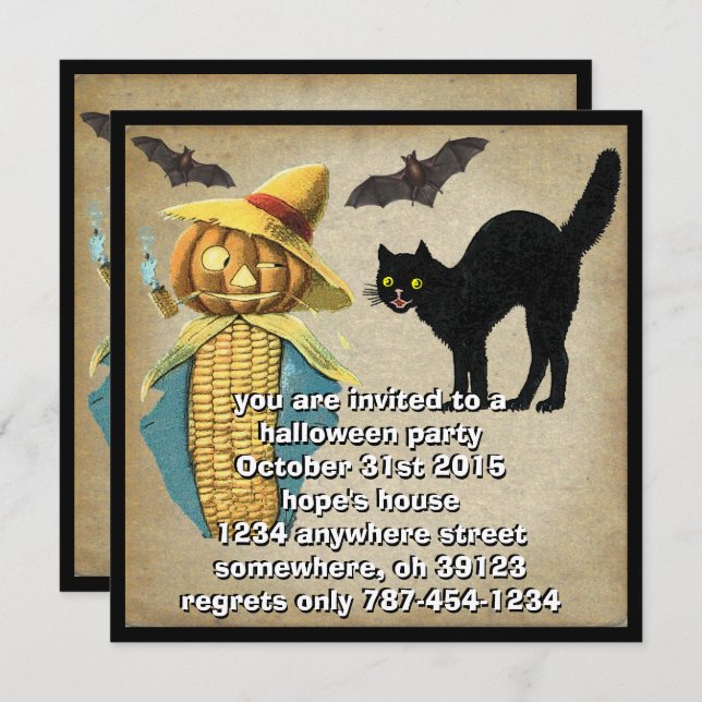 Pumpkin Head Black Cat Bats Halloween Party Invite (Front/Back)