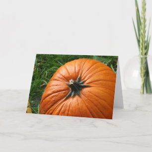 Pumpkin Holiday Card