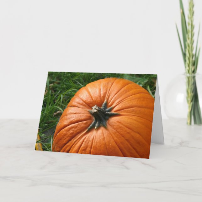 Pumpkin Holiday Card (Front)