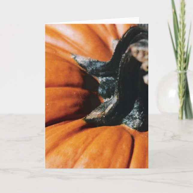 PUMPKIN! HOLIDAY CARD (Front)