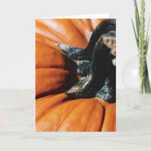 PUMPKIN! HOLIDAY CARD