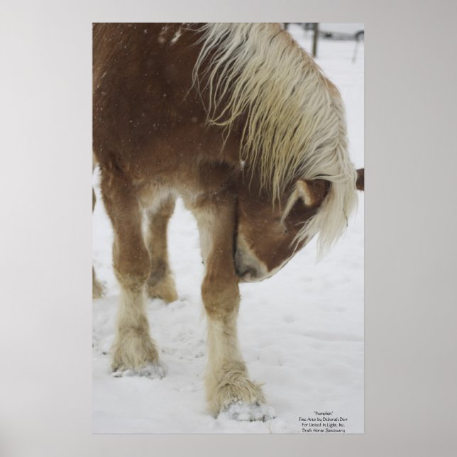 Pumpkin in Snow Poster (Front)