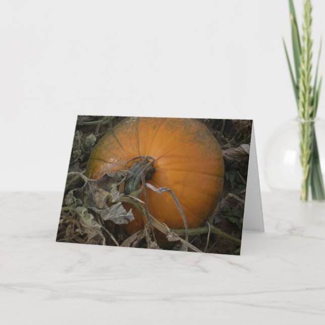 Pumpkin in the field card (Front)