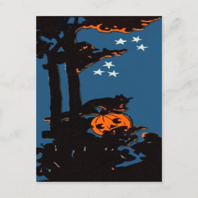 Pumpkin Jack O' Lantern Cat Orange Black Postcard (Front)