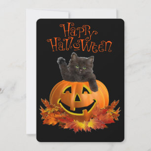 Pumpkin Kitty