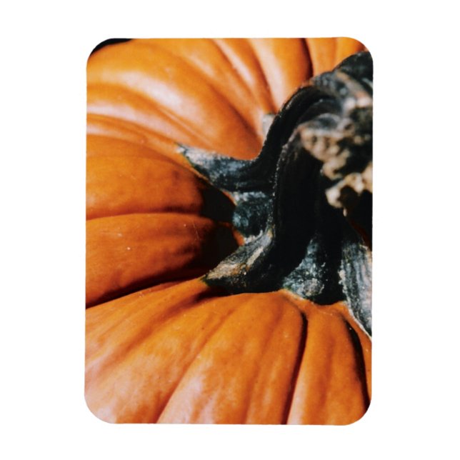 Pumpkin Magnet (Vertical)