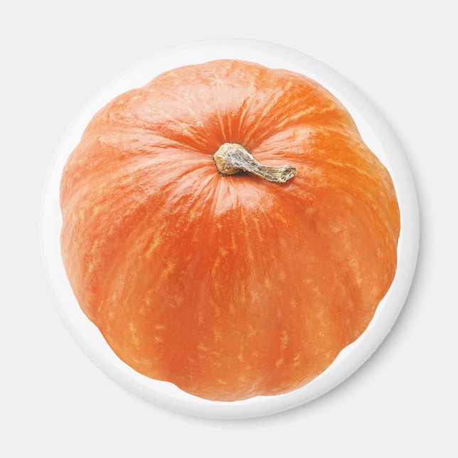 Pumpkin Magnet (Front)
