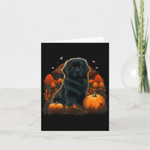 Pumpkin Newfie Dog Costume On Newfoundland Dog Card