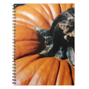 PUMPKIN! NOTEBOOK