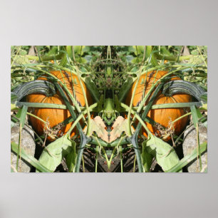 Pumpkin On Vine Fall Mirror Nature Art Poster