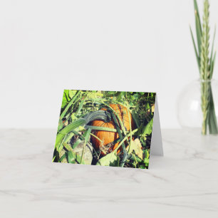 Pumpkin On Vine Nature Customisable Note Card