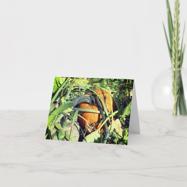 Pumpkin On Vine Nature Customisable Note Thank You Card (Front)