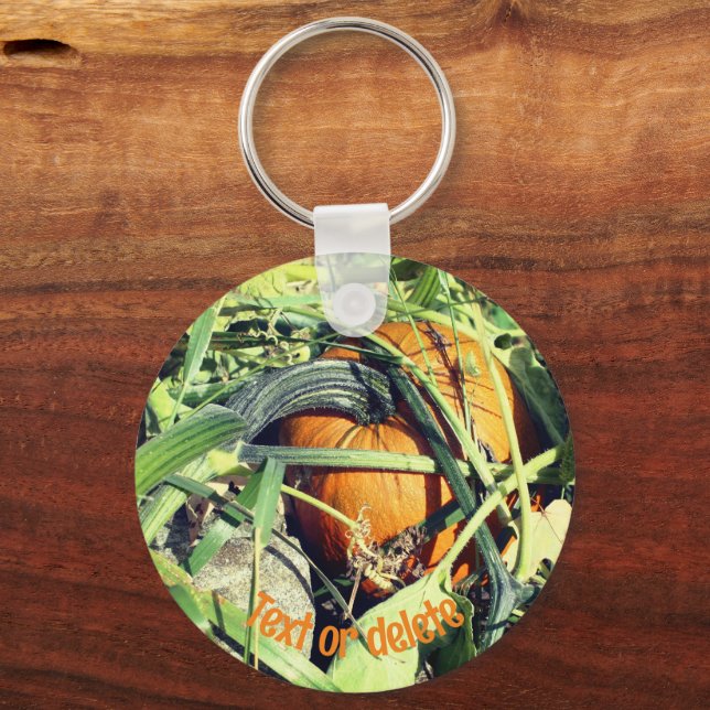 Pumpkin On Vine Nature Personalised Key Ring (Front)