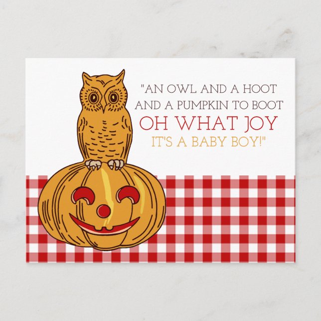 Pumpkin Owl & Gingham It's a Baby Boy Announcement Postcard (Front)