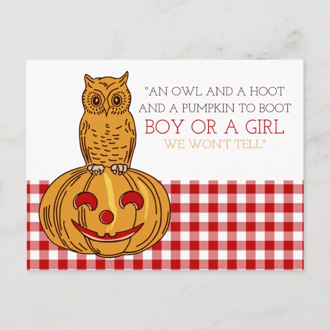 Pumpkin Owl & Gingham New Baby Announcement Postcard (Front)
