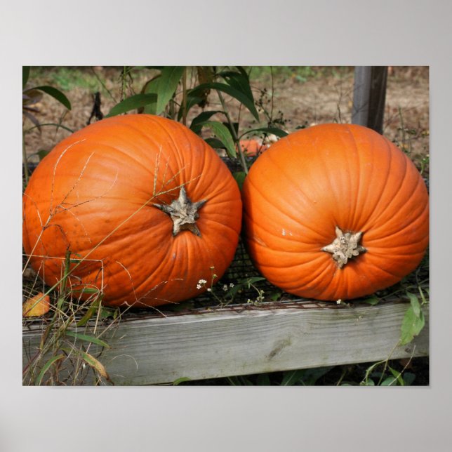 Pumpkin Pair Country Fall Poster (Front)
