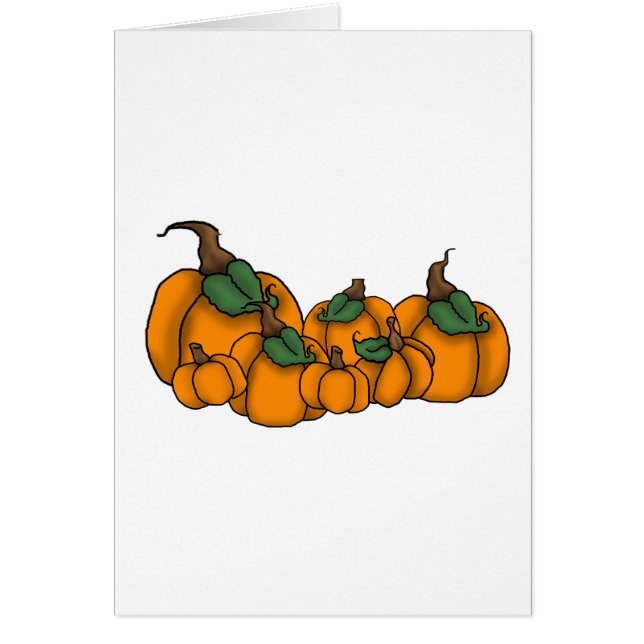 pumpkin patch (Front)