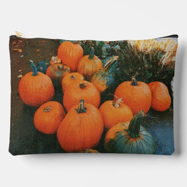 Pumpkin Patch  Accessory Pouch (Front)