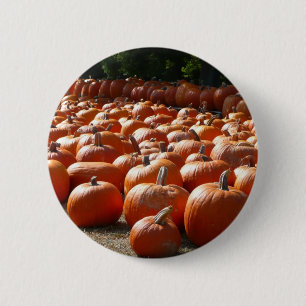 Pumpkin Patch Autumn Harvest Photography 6 Cm Round Badge