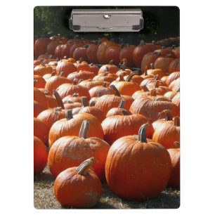 Pumpkin Patch Autumn Harvest Photography Clipboard