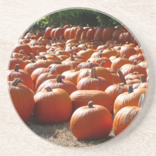 Pumpkin Patch Autumn Harvest Photography Coaster