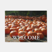 Pumpkin Patch Autumn Harvest Photography
