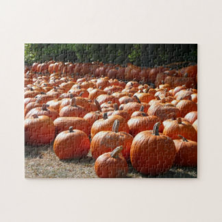 Pumpkin Patch Autumn Harvest Photography Jigsaw Puzzle