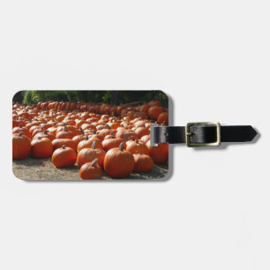 Pumpkin Patch Autumn Harvest Photography Luggage Tag