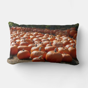 Pumpkin Patch Autumn Harvest Photography Lumbar Cushion