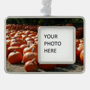 Pumpkin Patch Autumn Harvest Photography Silver Plated Framed Ornament