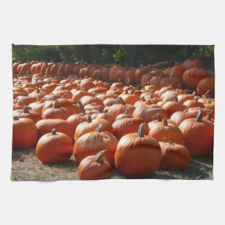 Pumpkin Patch Autumn Harvest Photography Tea Towel