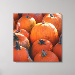 Pumpkin Patch Canvas Print