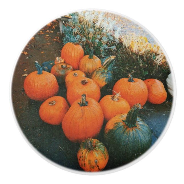 Pumpkin Patch  Ceramic Knob (Front)