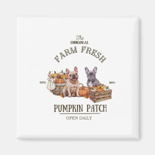 Pumpkin Patch French Bulldog The Original Farm Fre Magnet