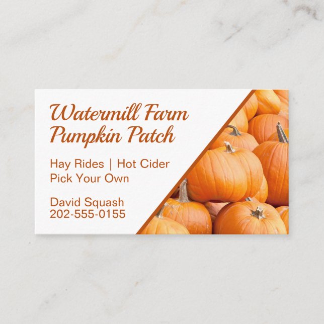 Pumpkin Patch Harvest Business Card (Front)