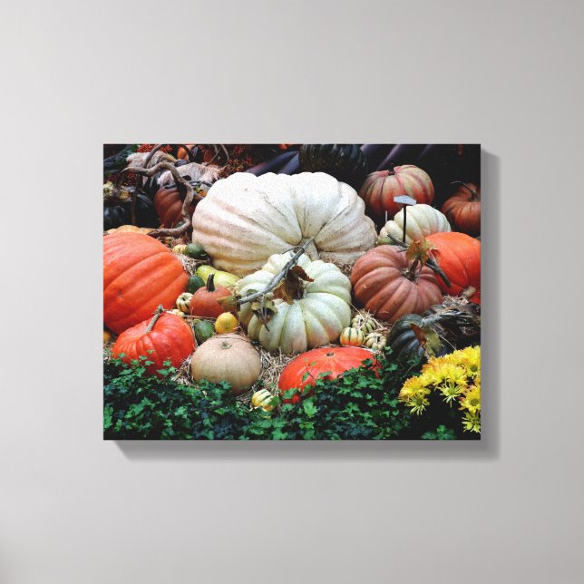 Pumpkin Patch Harvest Canvas Print (Front)