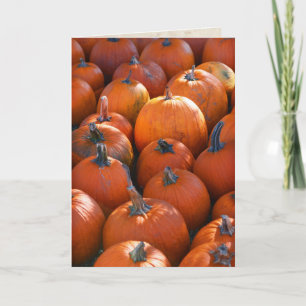 Pumpkin Patch Holiday Card