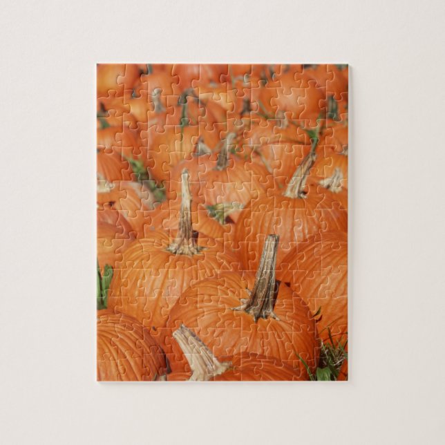 Pumpkin Patch Jigsaw Puzzle (Vertical)