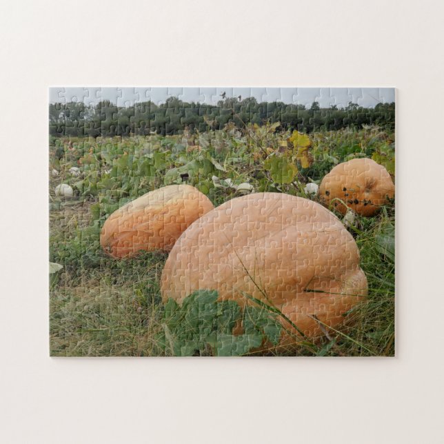 Pumpkin patch jigsaw puzzle (Horizontal)